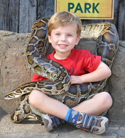 Australian Reptile Park - Accommodation Gold Coast 3