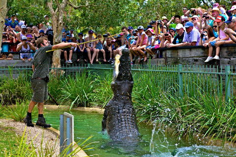 Australian Reptile Park - Accommodation Gold Coast 4