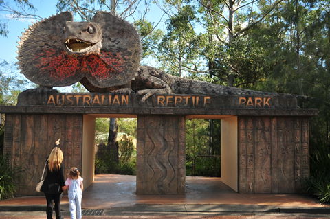 Australian Reptile Park - Accommodation Gold Coast 5