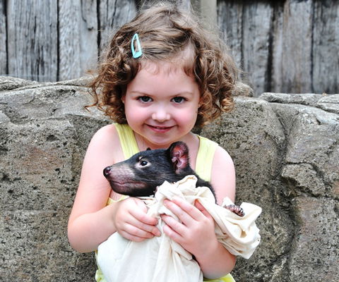 Australian Reptile Park - Accommodation Gold Coast 8