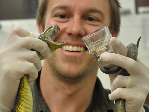 Australian Reptile Park - Accommodation Gold Coast 9
