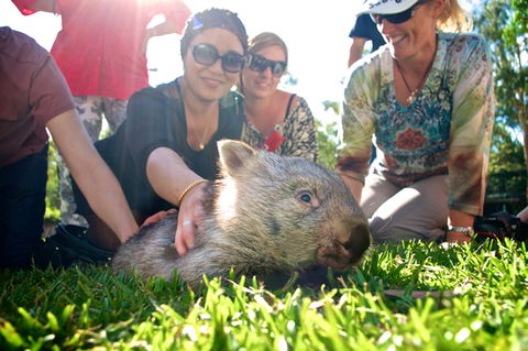 Australian Reptile Park - Accommodation Gold Coast 10