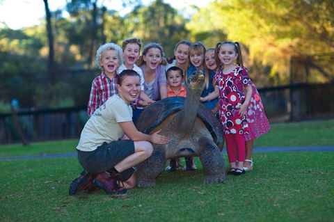 Australian Reptile Park - Accommodation Gold Coast 11