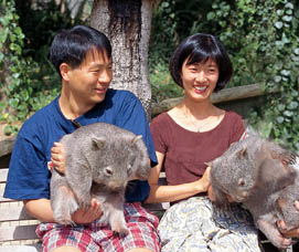 Birdland Animal Park - Accommodation Gold Coast 5