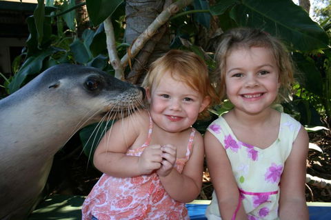 Dolphin Marine Magic - Gold Coast 4U 0