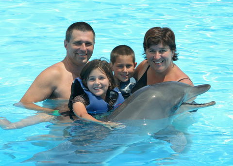 Dolphin Marine Magic - Gold Coast 4U 2