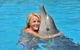 Dolphin Marine Magic - thumb 5