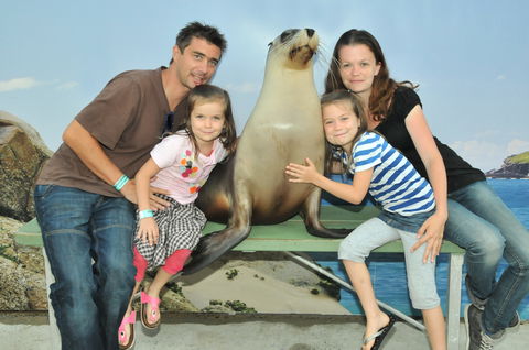 Dolphin Marine Magic - Gold Coast 4U 6