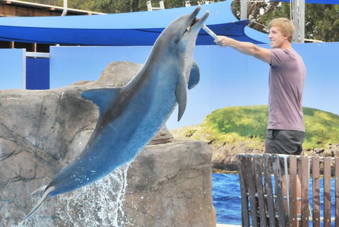 Dolphin Marine Magic - Gold Coast 4U 7