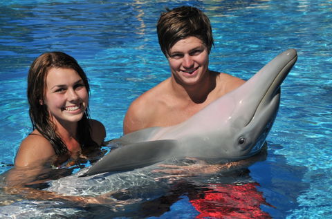 Dolphin Marine Magic - Gold Coast 4U 8