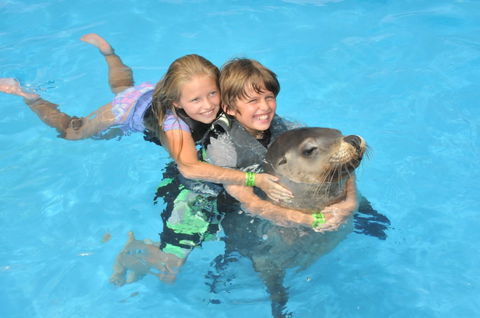 Dolphin Marine Magic - Gold Coast 4U 9