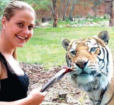 National Zoo & Aquarium - Accommodation Gold Coast 4