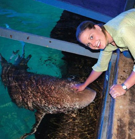 National Zoo & Aquarium - Accommodation Gold Coast 7