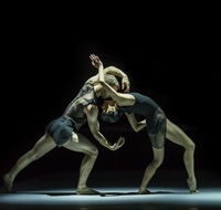 Sydney Dance Company - Accommodation Gold Coast