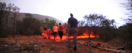Alice Springs Desert Park - Accommodation Gold Coast 4