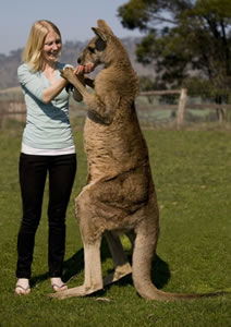 Zoo Doo Wildlife Park - Accommodation Gold Coast 5