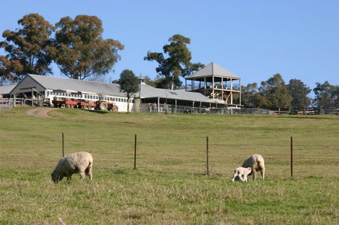 Calmsley Hill City Farm - Accommodation Gold Coast 3