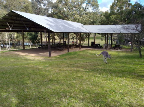 Calmsley Hill City Farm - Accommodation Gold Coast 5