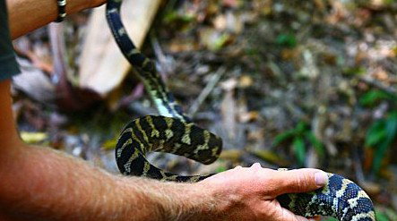 Queensland Day Tours - Accommodation Gold Coast 1