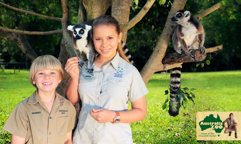 Australia Zoo - Accommodation Gold Coast 2
