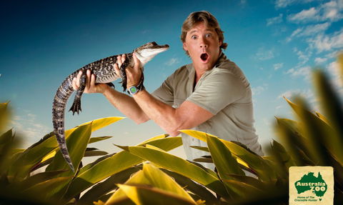 Australia Zoo - Accommodation Gold Coast 3