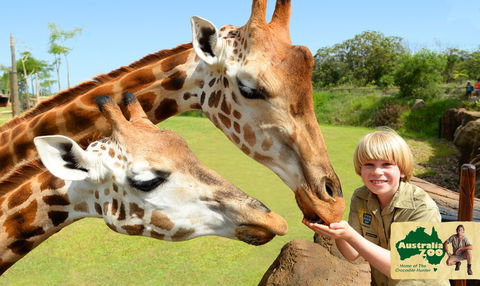 Australia Zoo - Accommodation Gold Coast 4