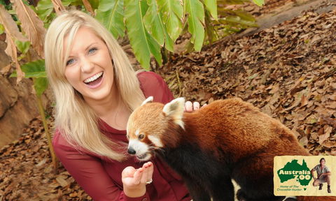 Australia Zoo - Accommodation Gold Coast 7