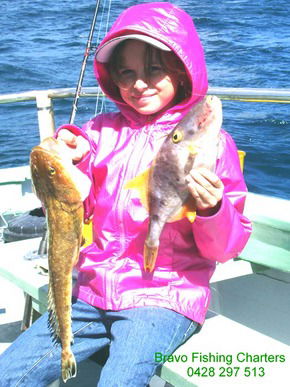 Bravo Fishing Charters - Accommodation Gold Coast 5