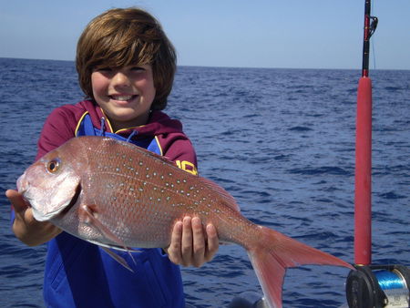 Mills Charters Fishing And Whale Watch Cruises - Accommodation Gold Coast 4