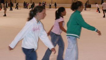 Hunter Ice Stadium - Accommodation Gold Coast 4