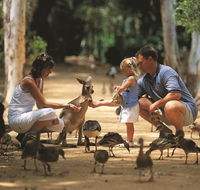 Billabong Sanctuary - Accommodation Gold Coast