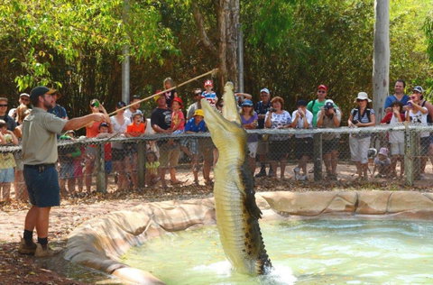 Billabong Sanctuary - Accommodation Gold Coast 2