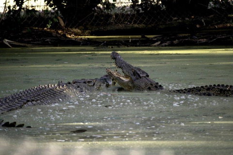 Billabong Sanctuary - Accommodation Gold Coast 3