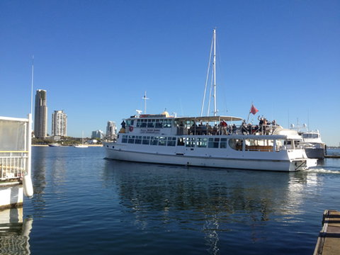 Brisbane Cruises - Accommodation Gold Coast 1