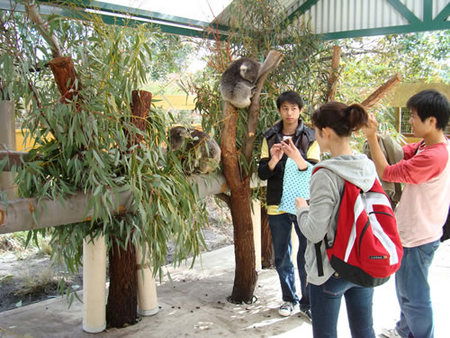 Caversham Wildlife Park - Accommodation Gold Coast 4