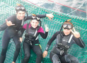 Dolphin Swim Australia - Gold Coast 4U 7