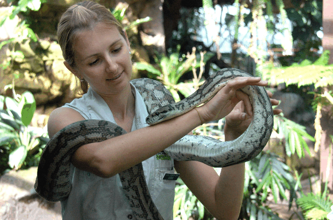 Cairns Wildlife Dome - Accommodation Gold Coast 2