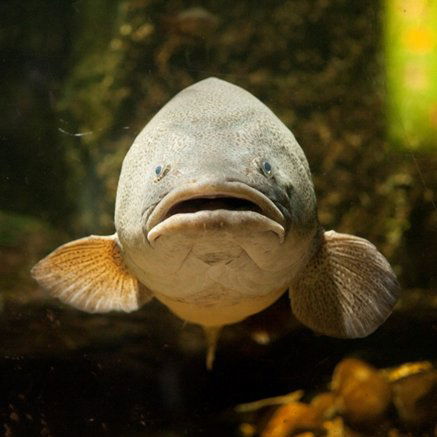 Melbourne Aquarium - Gold Coast 4U 5