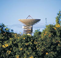 Big Dish - Accommodation Gold Coast