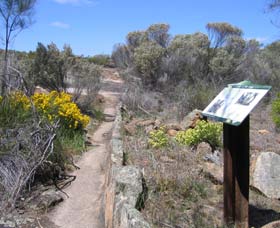 Wongan Hills WA Accommodation Gold Coast