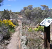 Christmas Rock Walk - Accommodation Gold Coast