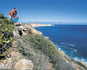 Cape Cuvier Coast - Accommodation Gold Coast 0