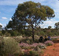 Karlkurla Bushland Park - Accommodation Gold Coast