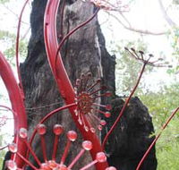 Understory Art In Nature - Accommodation Gold Coast