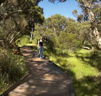 Leschenault Peninsula Conservation Park - Accommodation Gold Coast