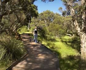 Leschenault Peninsula Conservation Park - Accommodation Gold Coast 0
