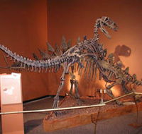 Denmark Dinosaur World - Accommodation Gold Coast
