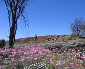 Burran Rock WA Accommodation Gold Coast