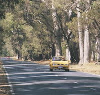 Ludlow Tuart Forest - Accommodation Gold Coast
