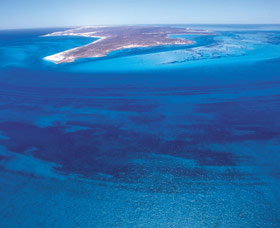 Dirk Hartog Island - Accommodation Gold Coast 0